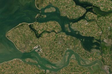 Turbid waters keep the coast healthy, finds study