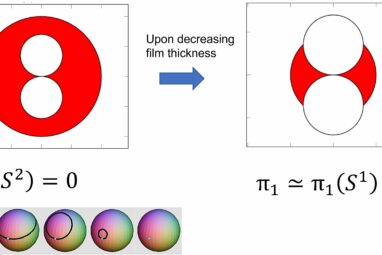 Unveiling the microscopic mechanism of superconducting metallic ...