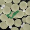 Video shows how swarms of miniature robots simultaneously clean up ...