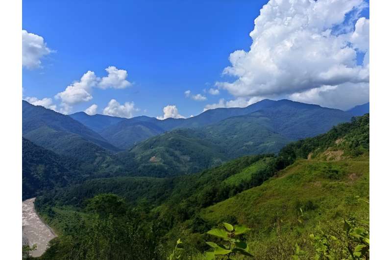 Captivating blue-colored ant discovered in India's remote Siang Valley