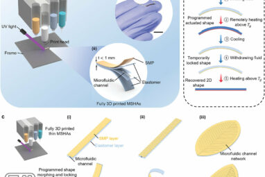 3D-printed mini-actuators can move small soft robots, lock them ...