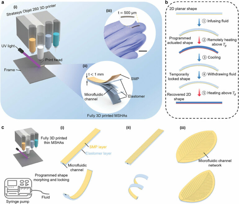 3D-printed mini-actuators can move small soft robots, lock them ...