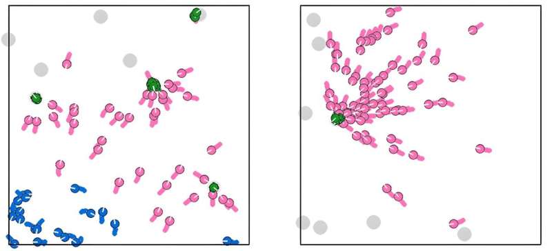 How can we make good decisions by observing others? A videogame and computational model have the answer