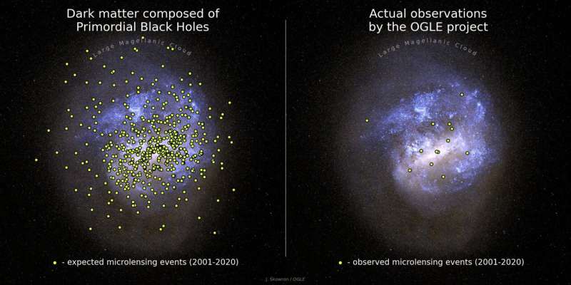 Is dark matter made of black holes?