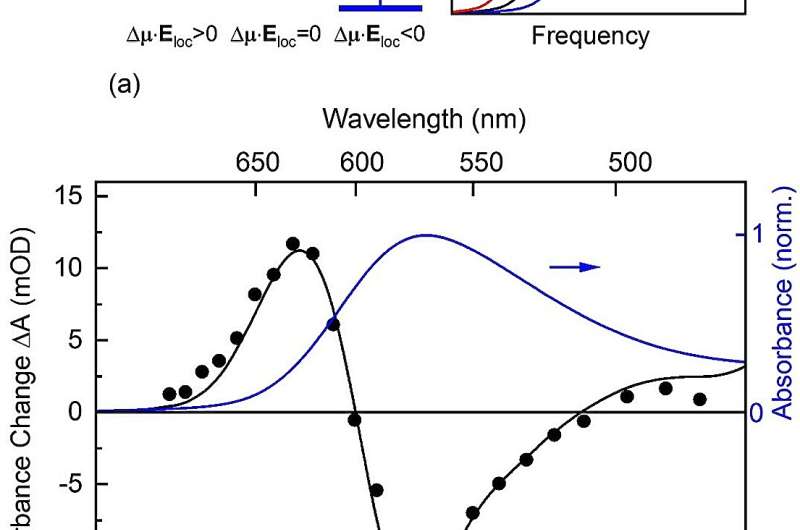 Quantum state mixing in photobiology – new insight from ultrafast terahertz Stark spectroscopy