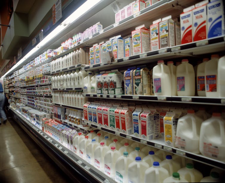 Assortment of milk products in grocery store aisle