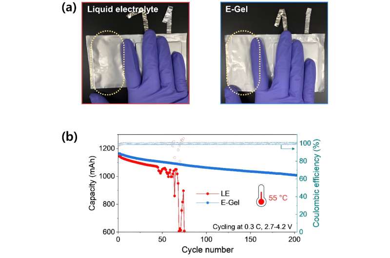 Whoever controls electrolytes will pave the way for electric vehicles