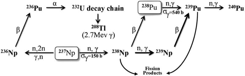 Improved plutonium production with enhanced efficiency and reduced costs