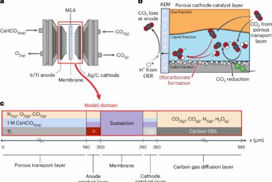 A better model for converting carbon dioxide into fuels and products