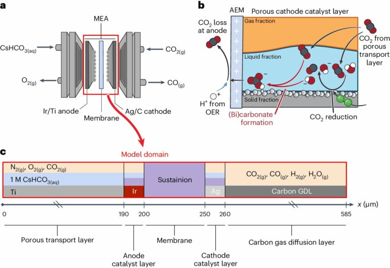 A better model for converting carbon dioxide into fuels and products