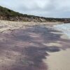 A mountainous mystery uncovered in South Australia's pink sands