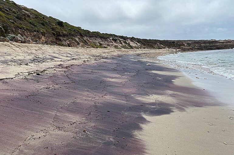 A mountainous mystery uncovered in South Australia's pink sands