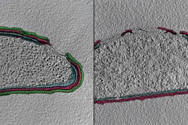 A novel spray device helps researchers capture fast-moving cell ...