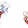 AI-based approach matches protein interaction partners