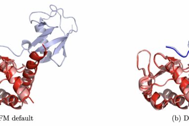 AI-based approach matches protein interaction partners