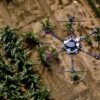 AI shows how field crops develop: Software can simulate future ...