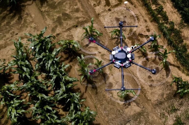 AI shows how field crops develop: Software can simulate future ...