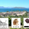 Analysis indicates Greek island was home to Bronze Age purple dye ...