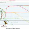 Are plants intelligent? It depends on the definition