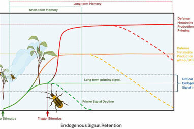 Are plants intelligent? It depends on the definition
