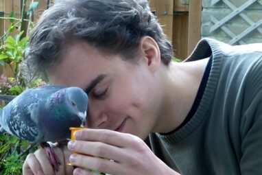 Computer model demonstrates desire for social proximity improves ...