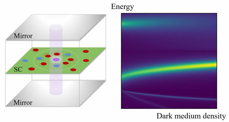 Dark excitons shed new light on matter