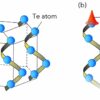 Discovery of one-dimensional topological insulator for qubits ...