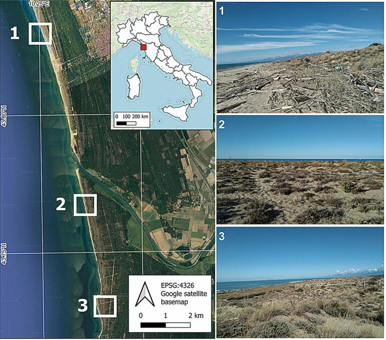 Dunes decoded: A comprehensive and precise mapping for coastal ...