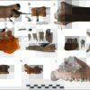 Earliest cattle herds in northern Europe found in the Netherlands