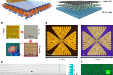 Engineers integrate wafer-scale 2D materials and metal electrodes ...