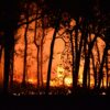 Extreme wildfires doubled over past two decades: Study