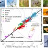 Flapping frequency of birds, insects, bats and whales predicted ...