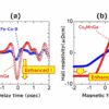 Generation of intense terahertz waves with a magnetic material