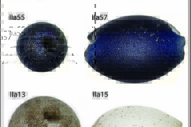 Glass beads indicate Indigenous Americans shaped early ...