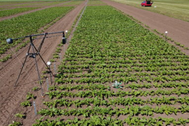 Improving crops with laser beams and 3D printing