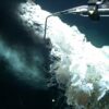 Investigating newly discovered hydrothermal vents at depths of ...
