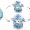 Ionic liquid electrolyte enables efficient CO₂ conversion to fuels ...