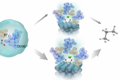 Ionic liquid electrolyte enables efficient CO₂ conversion to fuels ...
