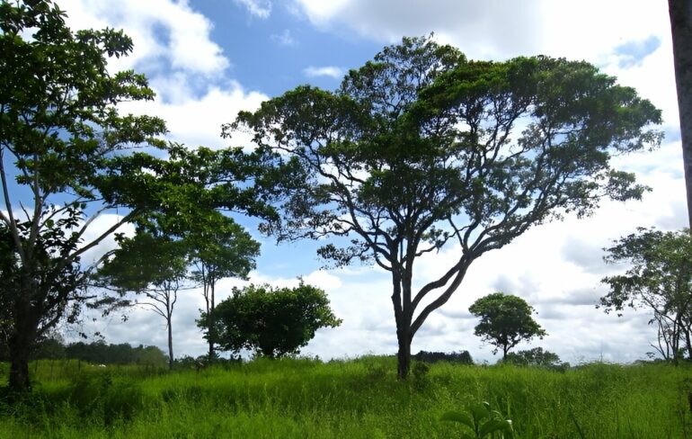 Look to women for sustainable livestock farming bordering the ...