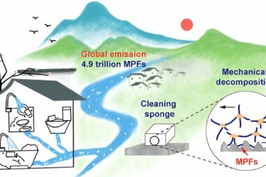 Melamine sponges shed microplastics when scrubbed, study shows