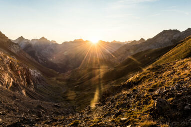 Millions of insects migrate through 30-meter Pyrenees pass