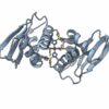 New insights into how cyanobacterial proteins cycle carbon in ...