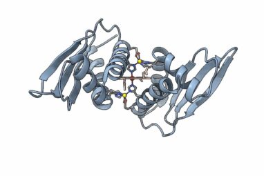 New insights into how cyanobacterial proteins cycle carbon in ...