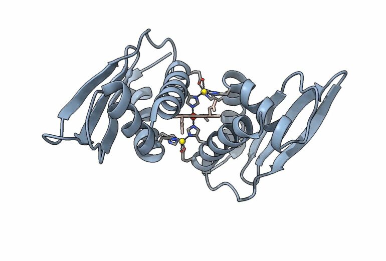 New insights into how cyanobacterial proteins cycle carbon in ...