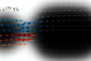 New insights on the role of nucleon exchange in nuclear fusion
