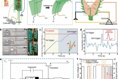 New liquid metal-based electronic logic device mimics prey-capture ...