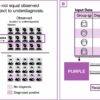 New model shows more realistic picture of intimate partner violence