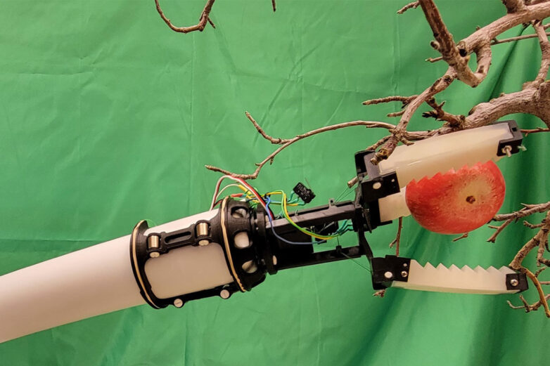 Robotic gripper for automated apple picking developed | WSU ...