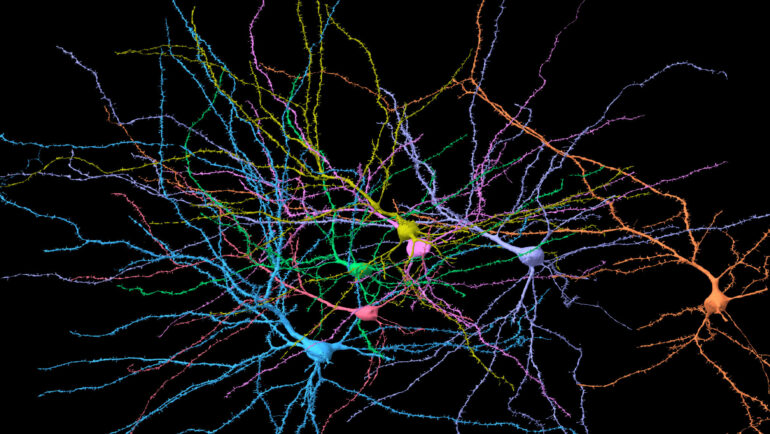 New study reveals brain's fractal-like structure near phase ...