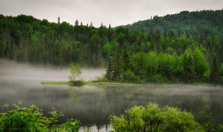 Non-native plants and animals expanding ranges 100-times faster ...